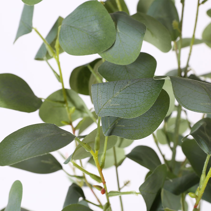 Zamioculcas zamiifolia artificial