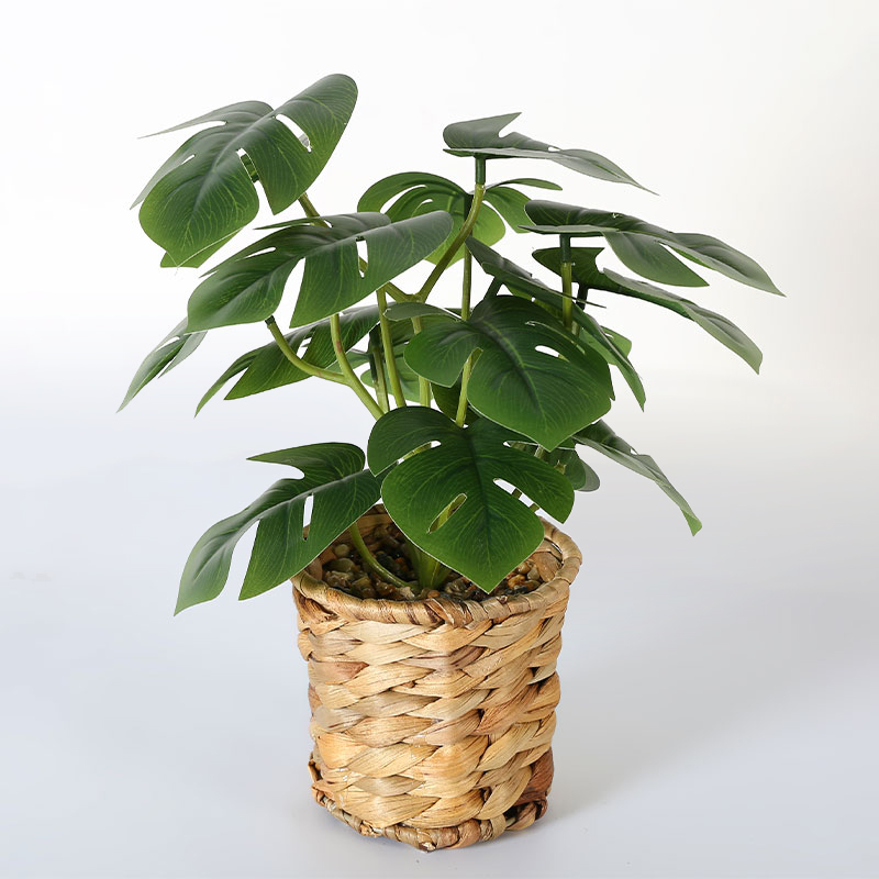 Planta artificial en maceta Monstera deliciosa Liebm