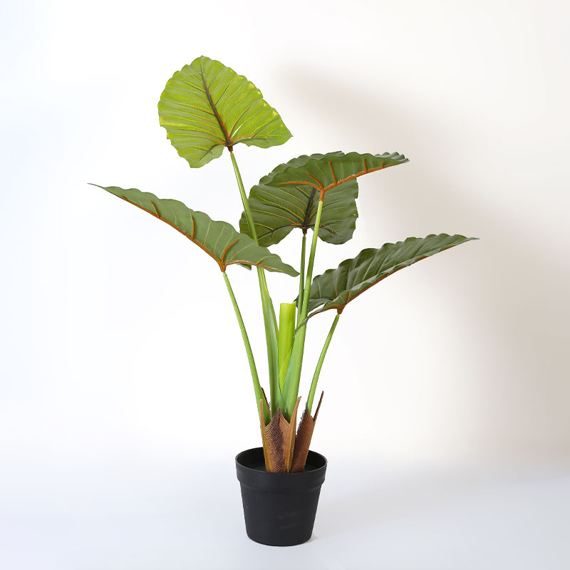 Árbol de alocasia artificial en maceta negra mate