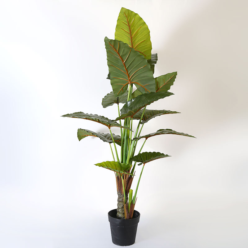 Árbol de alocasia artificial en maceta negra mate