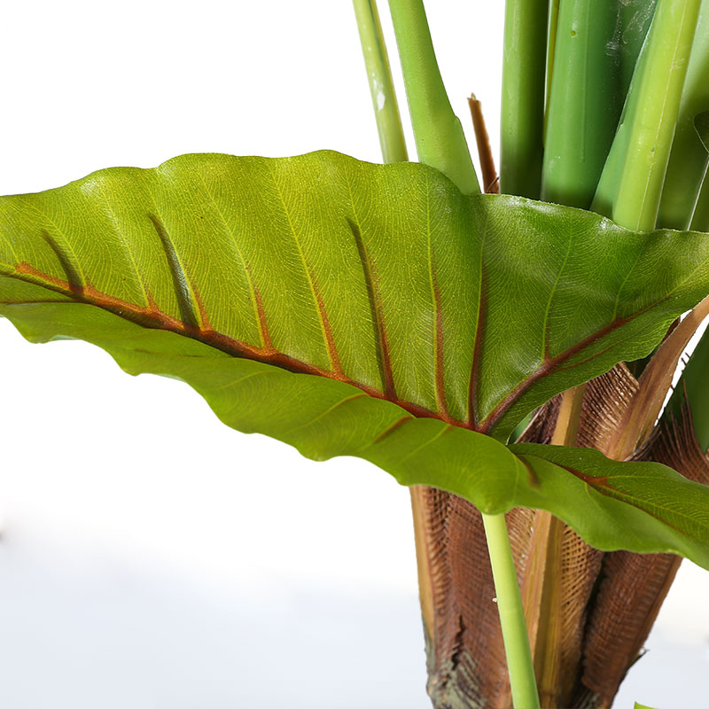 Árbol de alocasia artificial en maceta negra mate