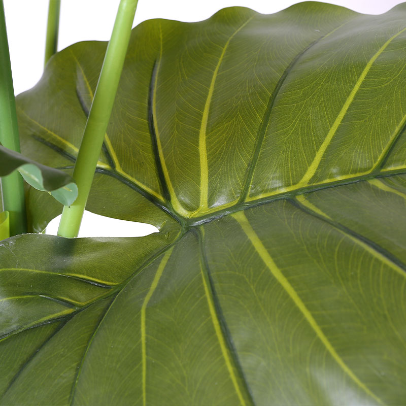 Simular Monstera deliciosa