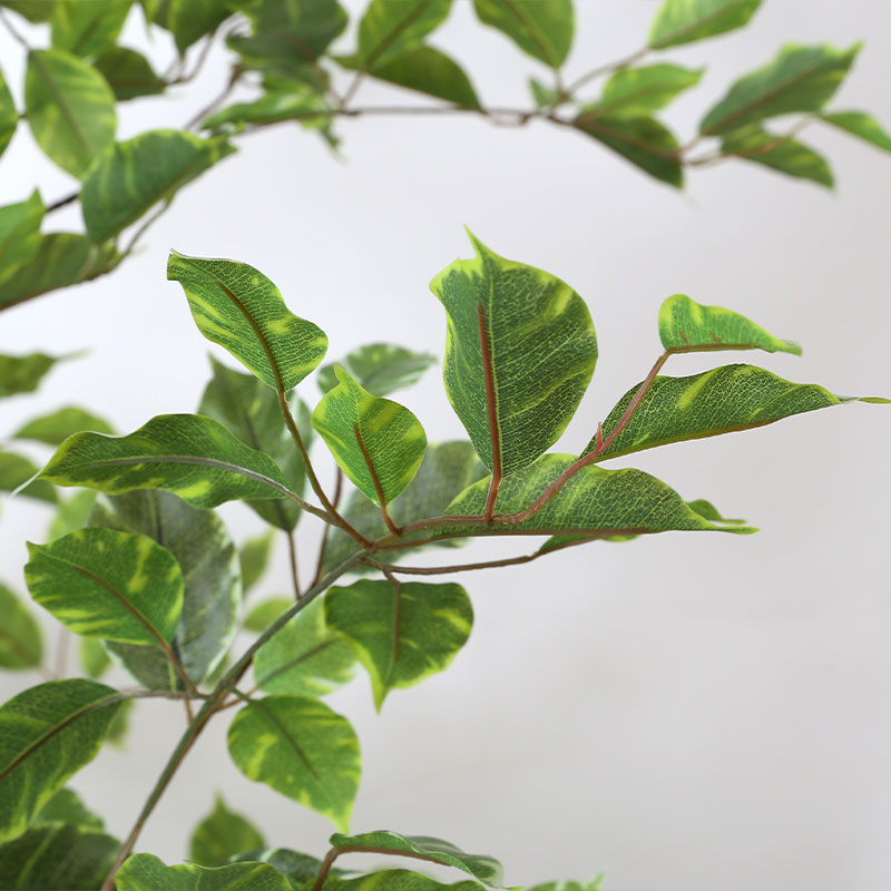 Ficus microcarpa artificial en maceta