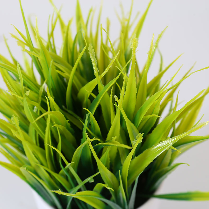 planta en maceta de pasto de trigo